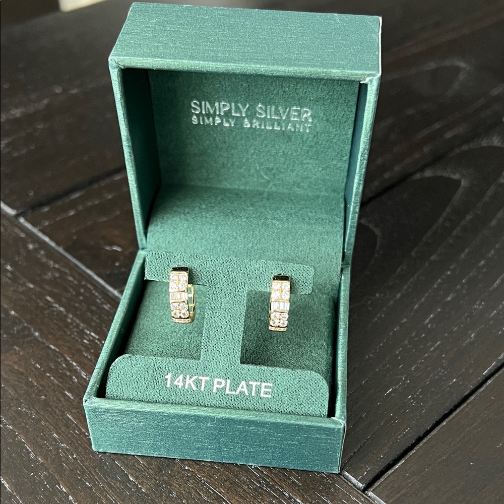 Simply Solver Simply Brilliant Earrings